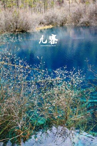 消逝的光芒